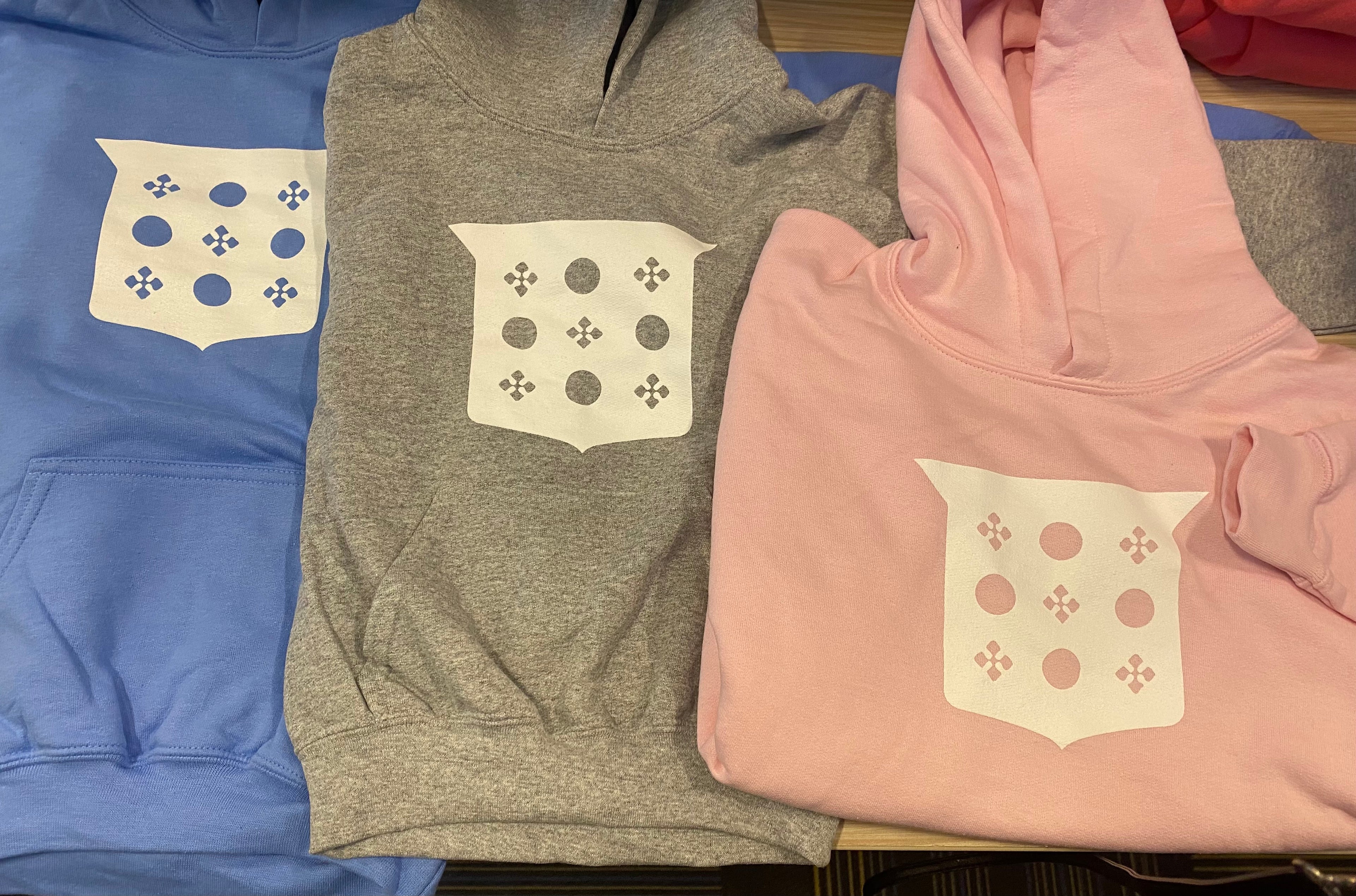MV Sport Youth Hooded Sweatshirt w/ Front Pocket